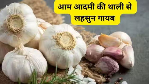 Garlic Price Hike