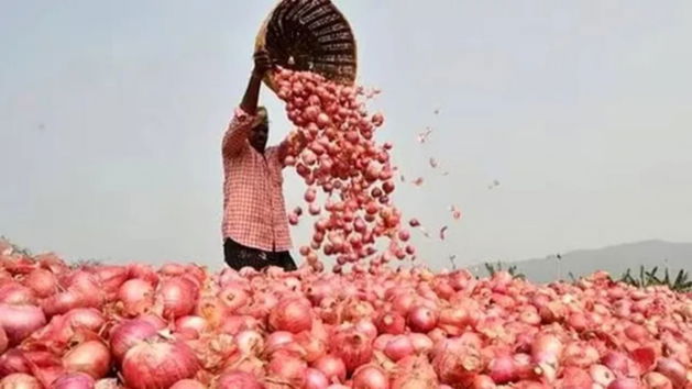 Onion Price