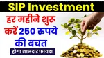 SIP Investment Rs 250 Per Month